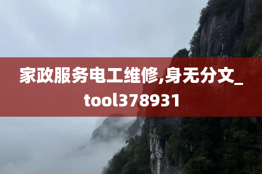 家政服务电工维修,身无分文_tool378931