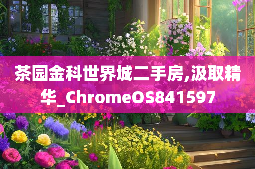 茶园金科世界城二手房,汲取精华_ChromeOS841597