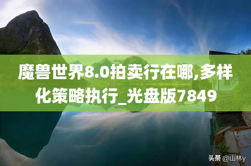 魔兽世界8.0拍卖行在哪,多样化策略执行_光盘版7849