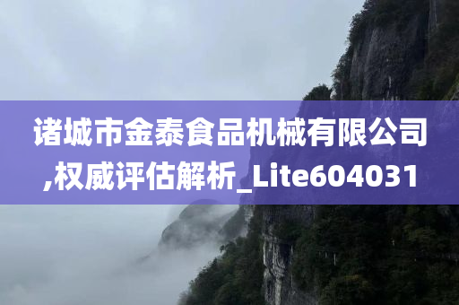 诸城市金泰食品机械有限公司,权威评估解析_Lite604031