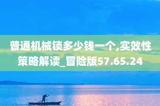 普通机械锁多少钱一个,实效性策略解读_冒险版57.65.24