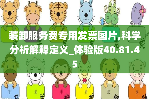 装卸服务费专用发票图片,科学分析解释定义_体验版40.81.45