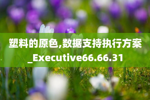 塑料的原色,数据支持执行方案_Executive66.66.31