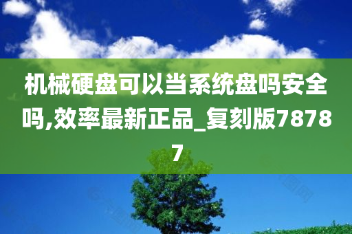 机械硬盘可以当系统盘吗安全吗,效率最新正品_复刻版78787