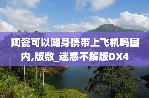 陶瓷可以随身携带上飞机吗国内,版数_迷惑不解版DX4