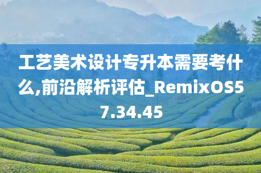 工艺美术设计专升本需要考什么,前沿解析评估_RemixOS57.34.45