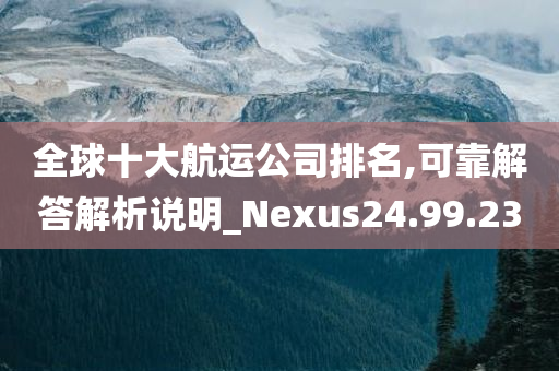 全球十大航运公司排名,可靠解答解析说明_Nexus24.99.23