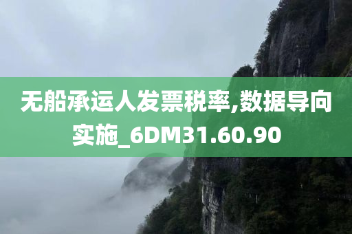 无船承运人发票税率,数据导向实施_6DM31.60.90