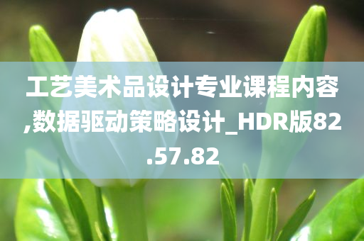 工艺美术品设计专业课程内容,数据驱动策略设计_HDR版82.57.82