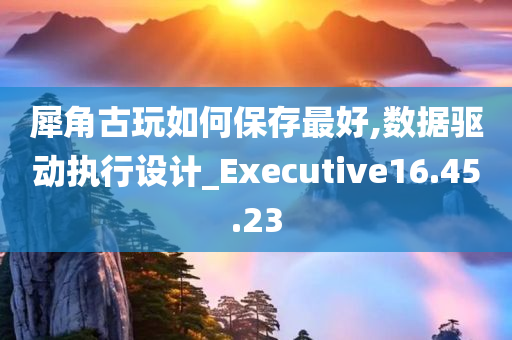 犀角古玩如何保存最好,数据驱动执行设计_Executive16.45.23