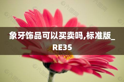 象牙饰品可以买卖吗,标准版_RE35