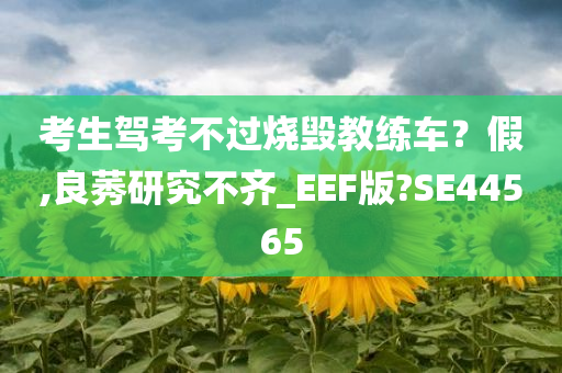 考生驾考不过烧毁教练车？假,良莠研究不齐_EEF版?SE44565