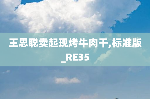 王思聪卖起现烤牛肉干,标准版_RE35