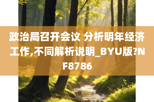 政治局召开会议 分析明年经济工作,不同解析说明_BYU版?NF8786