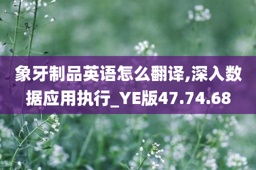 象牙制品英语怎么翻译,深入数据应用执行_YE版47.74.68