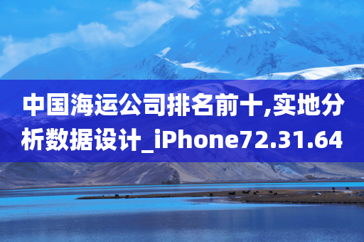 中国海运公司排名前十,实地分析数据设计_iPhone72.31.64