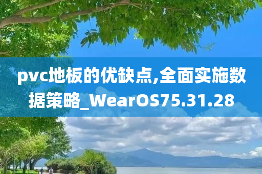 pvc地板的优缺点,全面实施数据策略_WearOS75.31.28