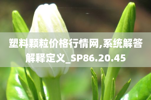 塑料颗粒价格行情网,系统解答解释定义_SP86.20.45