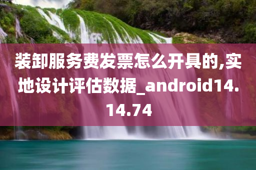 装卸服务费发票怎么开具的,实地设计评估数据_android14.14.74