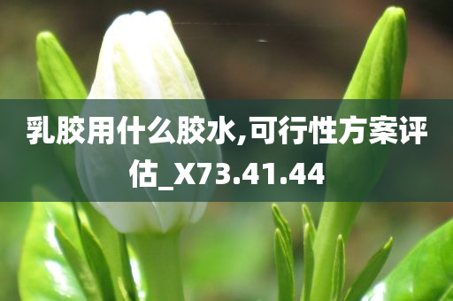 乳胶用什么胶水,可行性方案评估_X73.41.44