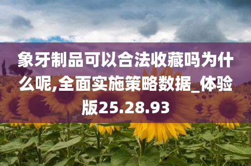 象牙制品可以合法收藏吗为什么呢,全面实施策略数据_体验版25.28.93