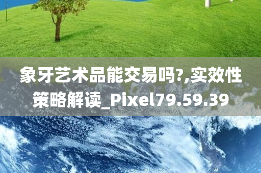 象牙艺术品能交易吗?,实效性策略解读_Pixel79.59.39