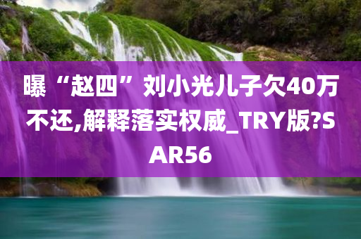 曝“赵四”刘小光儿子欠40万不还,解释落实权威_TRY版?SAR56