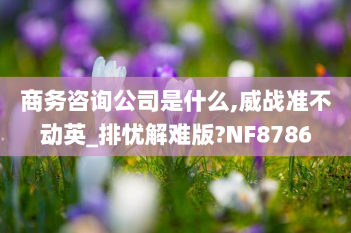 商务咨询公司是什么,威战准不动英_排忧解难版?NF8786