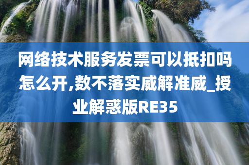 网络技术服务发票可以抵扣吗怎么开,数不落实威解准威_授业解惑版RE35