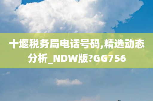 十堰税务局电话号码,精选动态分析_NDW版?GG756