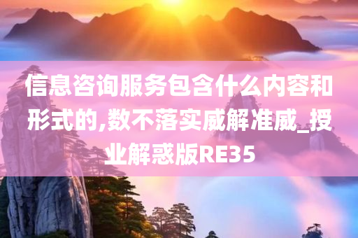 信息咨询服务包含什么内容和形式的,数不落实威解准威_授业解惑版RE35