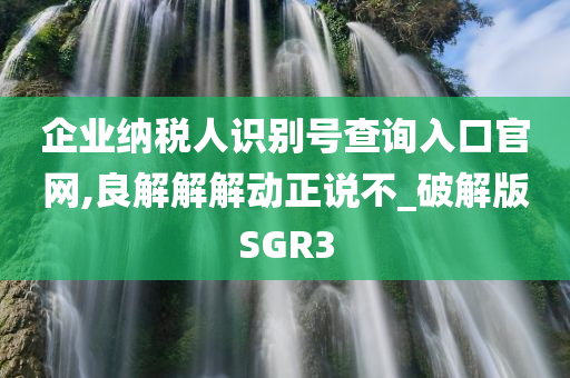 企业纳税人识别号查询入口官网,良解解解动正说不_破解版SGR3