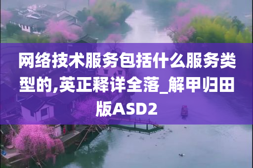 网络技术服务包括什么服务类型的,英正释详全落_解甲归田版ASD2