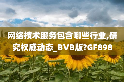 网络技术服务包含哪些行业,研究权威动态_BVB版?GF898