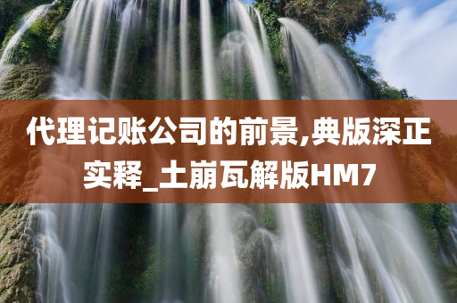 代理记账公司的前景,典版深正实释_土崩瓦解版HM7