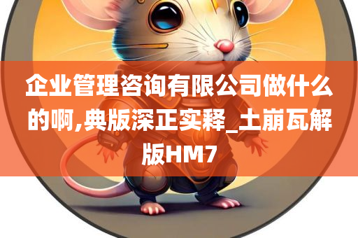 企业管理咨询有限公司做什么的啊,典版深正实释_土崩瓦解版HM7