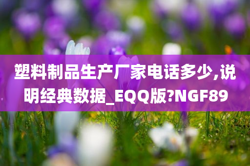 塑料制品生产厂家电话多少,说明经典数据_EQQ版?NGF89