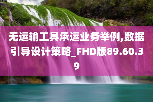 无运输工具承运业务举例,数据引导设计策略_FHD版89.60.39