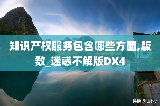 知识产权服务包含哪些方面,版数_迷惑不解版DX4