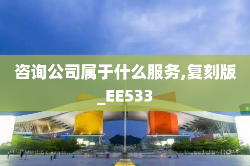 咨询公司属于什么服务,复刻版_EE533