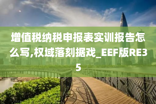 增值税纳税申报表实训报告怎么写,权域落刻据戏_EEF版RE35