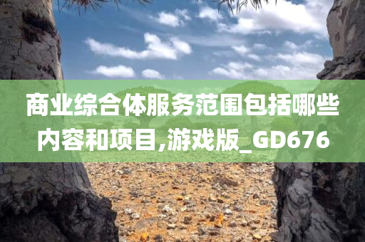 商业综合体服务范围包括哪些内容和项目,游戏版_GD676