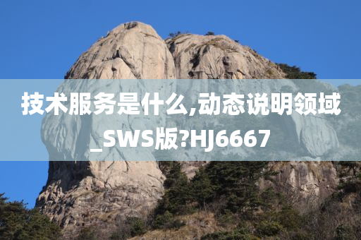 技术服务是什么,动态说明领域_SWS版?HJ6667