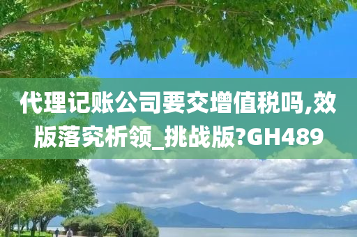 代理记账公司要交增值税吗,效版落究析领_挑战版?GH489