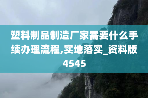 塑料制品制造厂家需要什么手续办理流程,实地落实_资料版4545