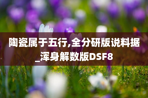 陶瓷属于五行,全分研版说料据_浑身解数版DSF8