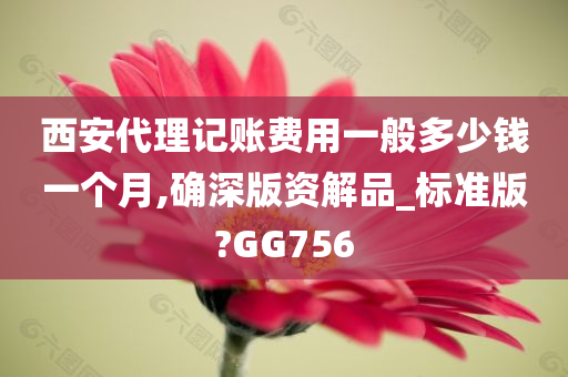 西安代理记账费用一般多少钱一个月,确深版资解品_标准版?GG756