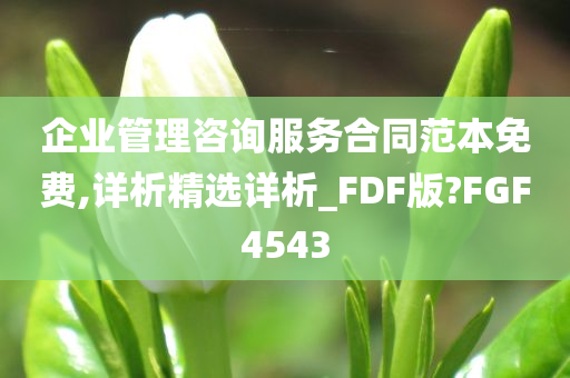 企业管理咨询服务合同范本免费,详析精选详析_FDF版?FGF4543