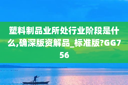 塑料制品业所处行业阶段是什么,确深版资解品_标准版?GG756