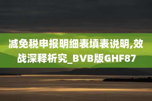 减免税申报明细表填表说明,效战深释析究_BVB版GHF87